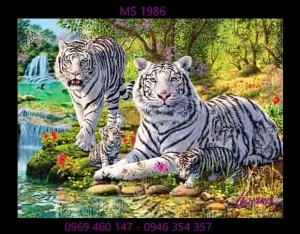 Tranh thêu con hổ ms 1986